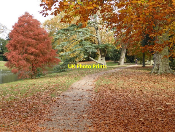 Photo 6"x4" Autumn colours in Croome Park High Green\/SO8745 c2016