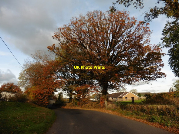 Photo 6"x4" Minor road to Hemyock Madford c2016