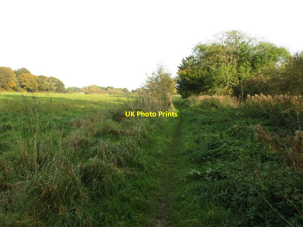 Photo 6"x4" Path alongside the Wallington River Boarhunt c2016