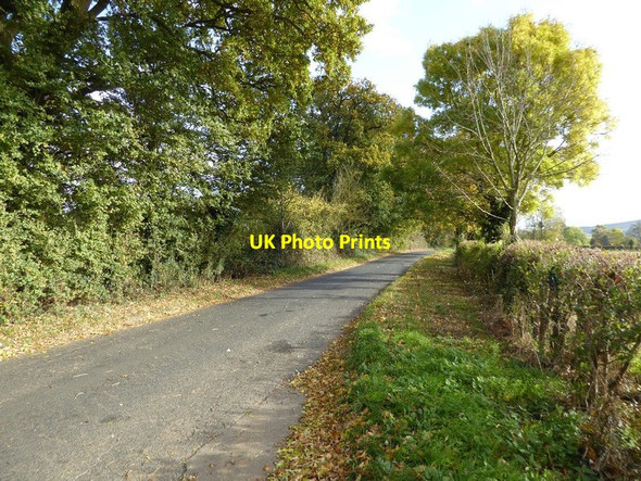 Photo 6"x4" Road into Birlingham Birlingham c2016