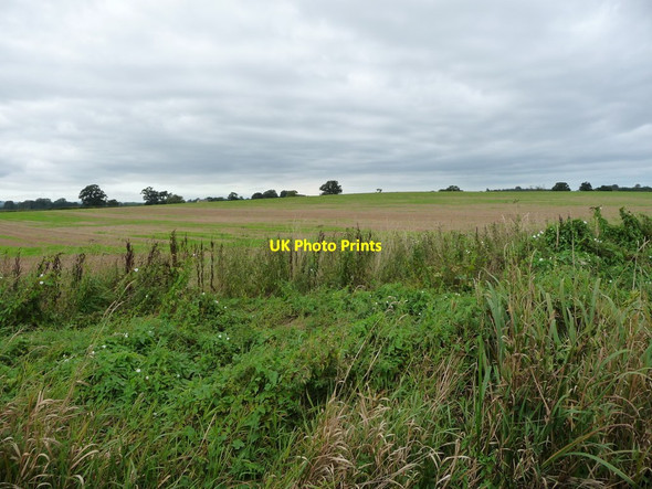Photo 6"x4" Farmland north of Woolston Woolston\/SJ3224 c2016