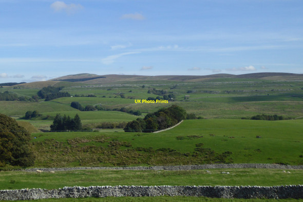 Photo 6"x4" Woodland by a bend in the River Ribble Selside\/SD7875 c2016