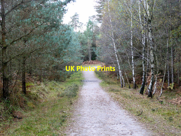 Photo 6"x4" Track, Knightwood Inclosure Bank\/SU2807 c2016