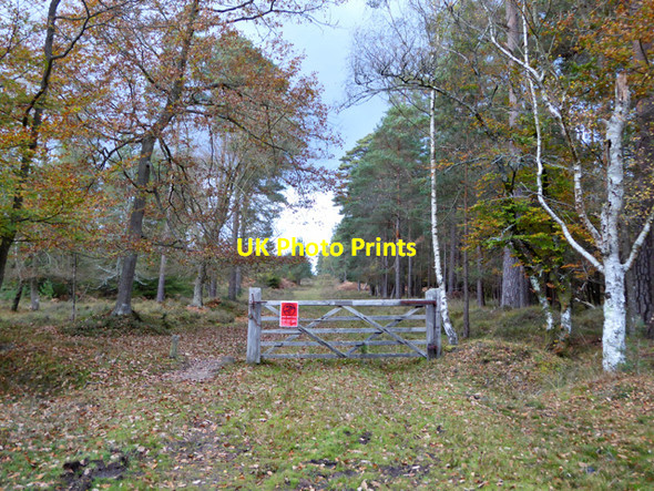 Photo 6"x4" Gate and track, Knightwood Inclosure Bank\/SU2807 c2016