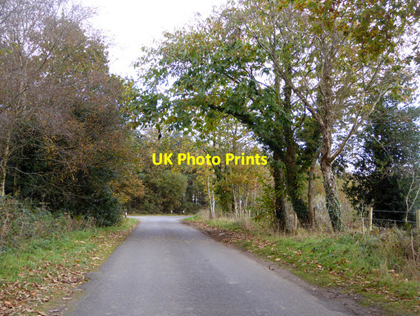 Photo 6"x4" Braggers Lane Thorney Hill\/SZ2099 c2016