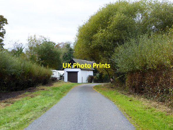 Photo 6"x4" Thatchers Lane Shirley\/SZ1798 c2016