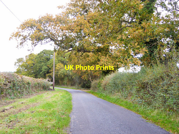 Photo 6"x4" Thatchers Lane? North Ripley c2016