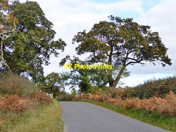 Photo 6"x4" Humped bridge between Ripley and North Ripley North Ripley c2016