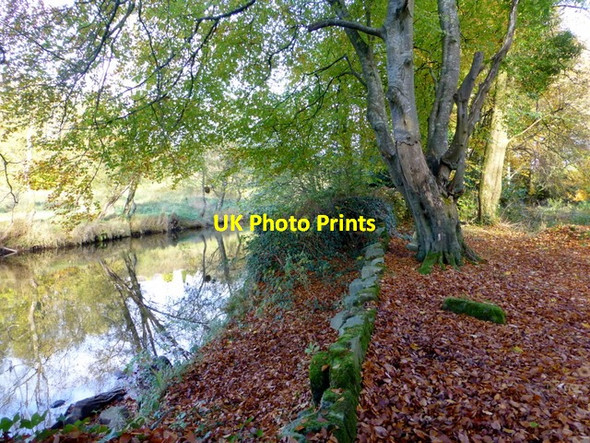 Photo 6"x4" Wall along the Camowen River, Omagh Omagh c2016
