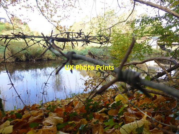Photo 6"x4" Barbed wire, Tyrone & Fermanagh hospital, Omagh Omagh c2016