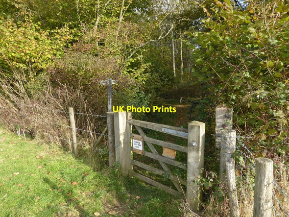 Photo 6"x4" Footpath enters woodland west of Bigges Farm Slough Green\/TQ2826 c2016