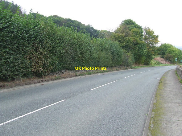 Photo 6"x4" Holyhead 81 Fron Isaf\/SJ2740 c2016