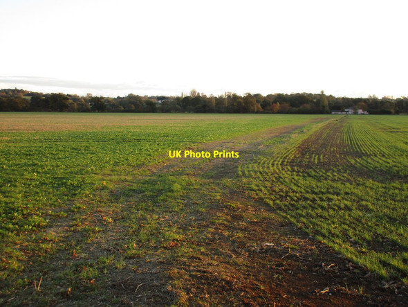 Photo 6"x4" Flat field close to the River Stour Little Horkesley c2016
