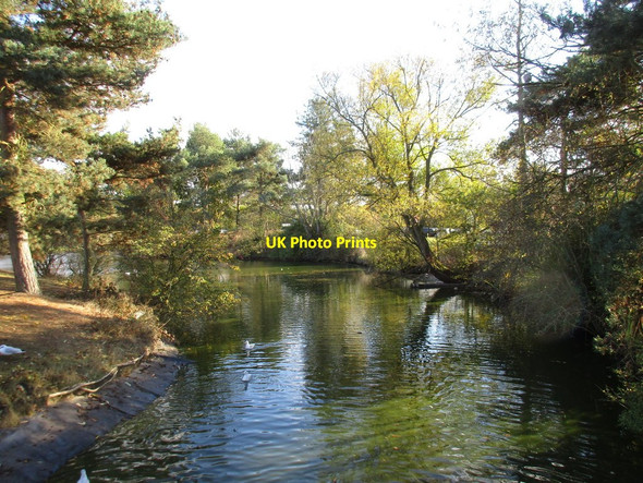 Photo 6"x4" Ornamental pond, Colchester General Hospital Colchester c2016