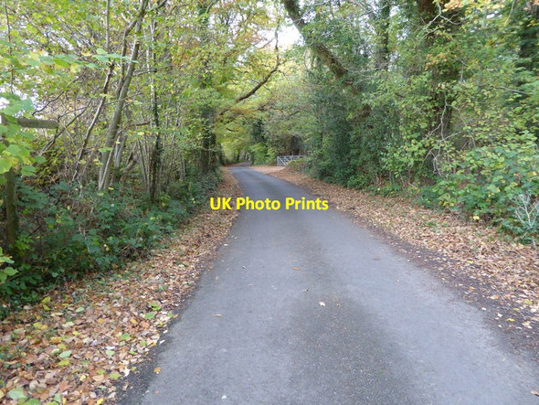 Photo 6"x4" Looking north on Bishopstone Lane from bridleway junction Ansty\/TQ2923 c2016