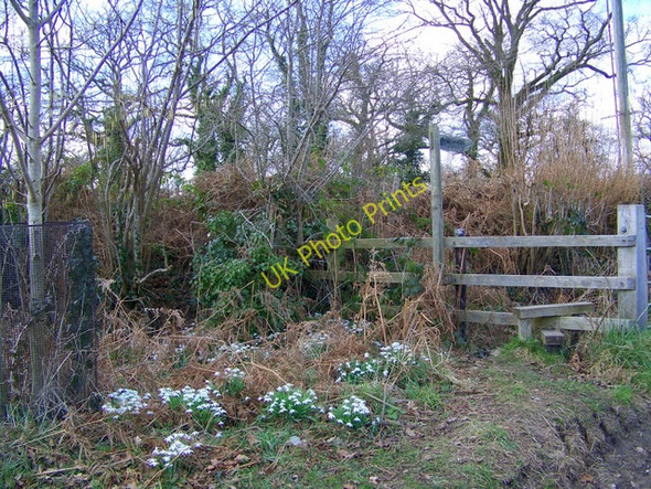 Photo 6"x4" Stile near Ripley North Ripley c2009