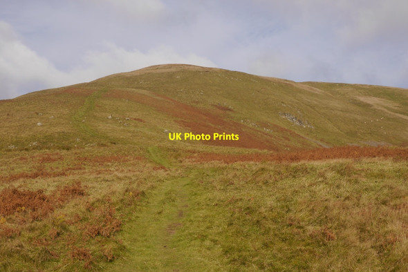 Photo 6"x4" The Law Tillicoultry c2016
