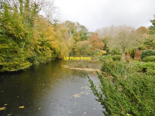 Photo 6"x4" Weston Longville, pond Lenwade c2016