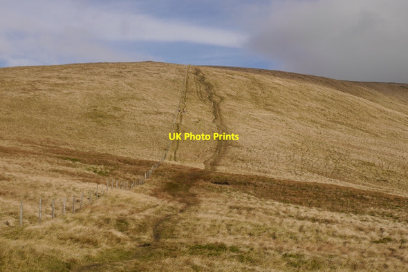 Photo 6"x4" Path up Ben Cleuch Tillicoultry c2016