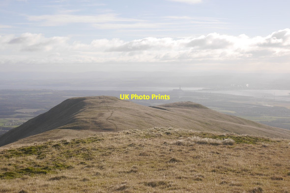 Photo 6"x4" Wood Hill Tillicoultry c2016