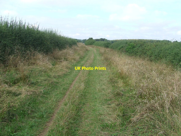 Photo 6"x4" Former Roman Road Little Abington c2016