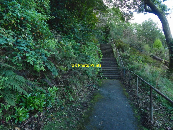 Photo 6"x4" Path to Tower Hill Gourock c2016