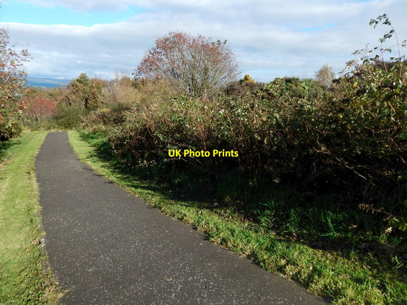 Photo 6"x4" Path from Tower Hill Gourock c2016