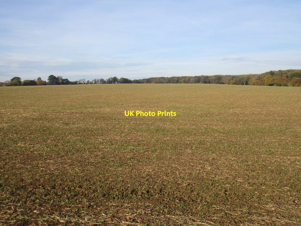 Photo 6"x4" One enormous field Pimlico\/SP6140 c2016