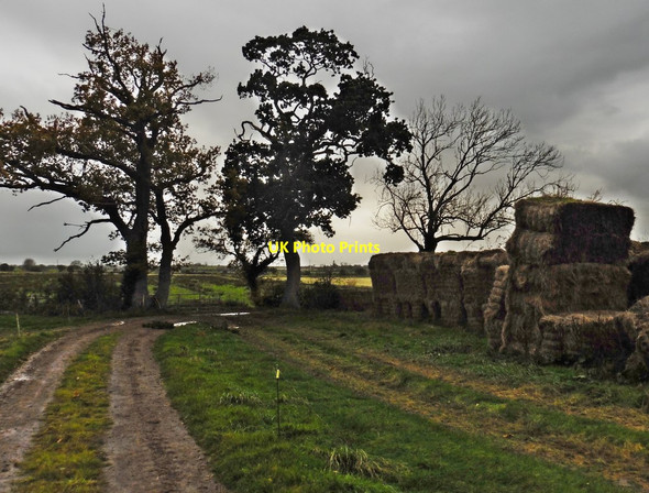 Photo 6"x4" Farm track near Black Withies Longstone\/ST3929 c2016