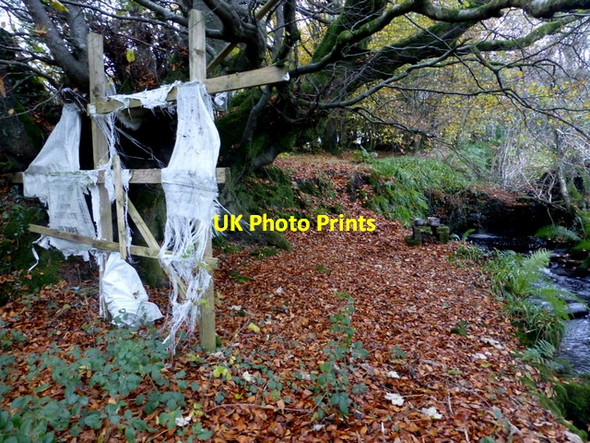 Photo 6"x4" Remains of a playhouse, Lisnacreaght Mountjoy\/H4277 c2016