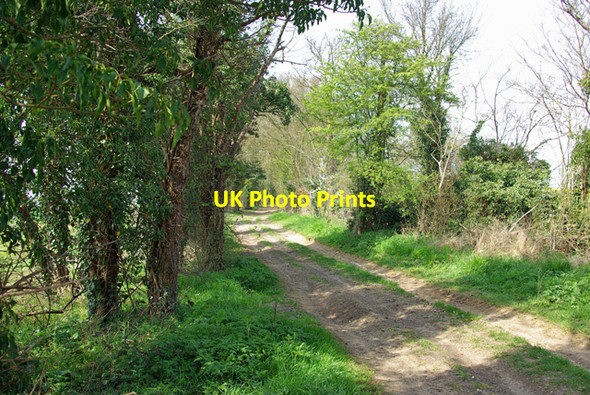 Photo 6"x4" Dunmow Lane Ford End\/TL6716 c2007