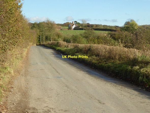 Photo 6"x4" Road to Bromyard Flaggoners Green c2016