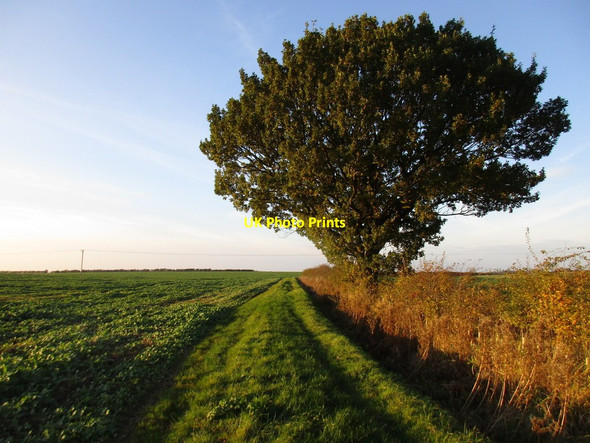Photo 6"x4" The Viking Way Apley c2016