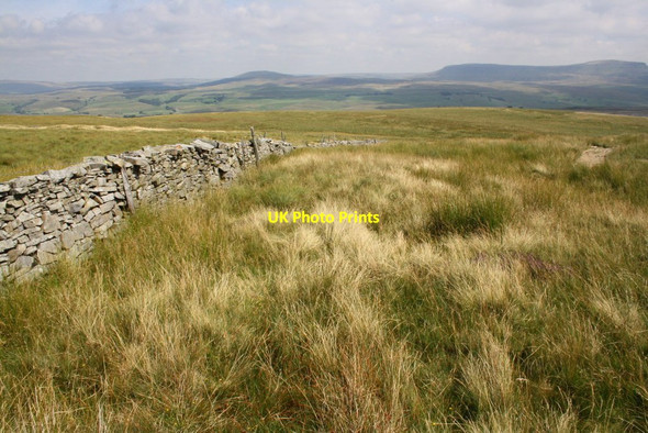 Photo 6"x4" Beside track towards Horton-in-Ribblesdale from The Allotment Selside\/SD7875 c2016