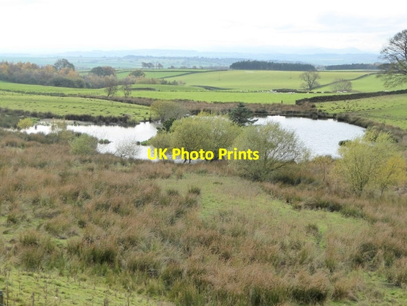 Photo 6"x4" Pond at Busk Busk\/NY6042 c2016