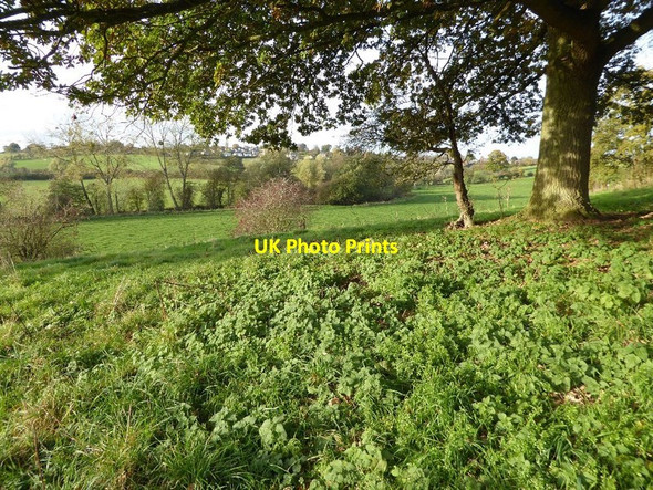 Photo 6"x4" The Frome valley Bromyard c2016