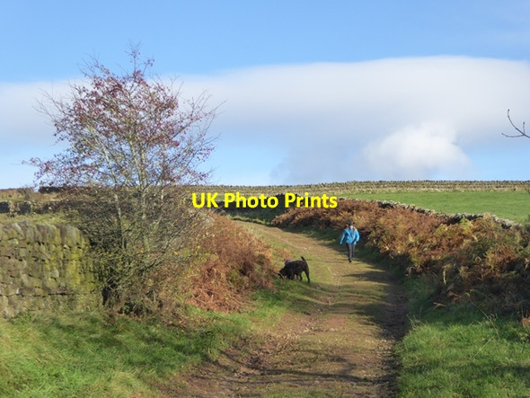 Photo 6"x4" The lane to Twotop Bridge Unthank\/NY6040 c2016