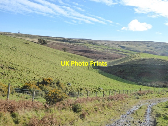 Photo 6"x4" Lane at Moor Thwaite Unthank\/NY6040 c2016