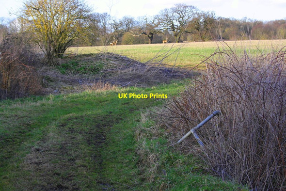 Photo 6"x4" Field access track over stream from Bell Foundry Lane Wokingham c2015