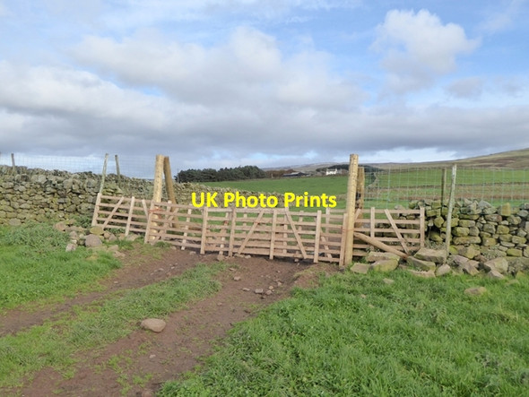 Photo 6"x4" Gateway on Cannerheugh Farm Busk\/NY6042 c2016