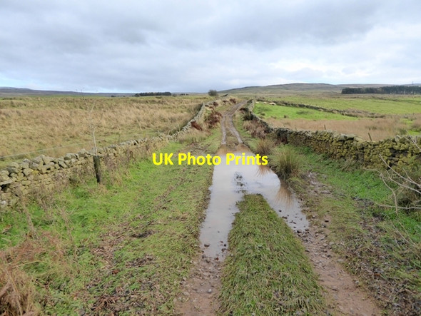 Photo 6"x4" The lane to Selah Bridge Busk\/NY6042 c2016