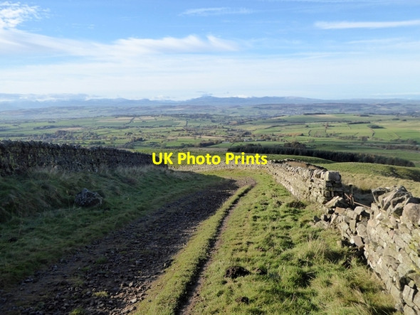 Photo 6"x4" Lane below Twotop Bridge Busk\/NY6042 c2016