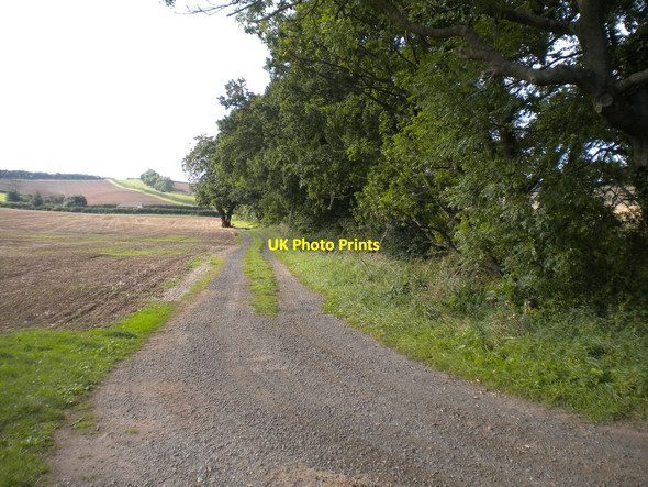 Photo 6"x4" Farm track south west of Woodborough Park Farm (1) Arnold\/SK5945 c2016