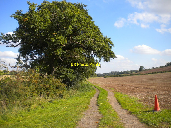Photo 6"x4" Farm track south west of Woodborough Park Farm (2) Arnold\/SK5945 c2016