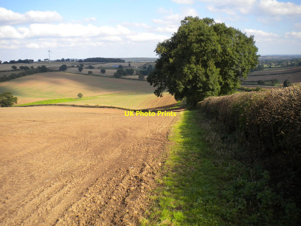 Photo 6"x4" Field edge footpath east of Dorket Head Arnold\/SK5945 c2016