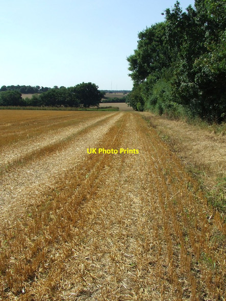 Photo 6"x4" Field Edge And Hedge Upsher Green c2016