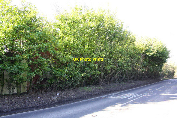 Photo 6"x4" Barkham Square buildings hidden behind bushes Wokingham c2015