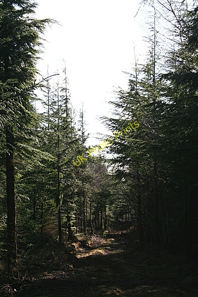 Photo 6"x4" Light at the End of the Tunnel? Blackburn\/NJ2958 c2009