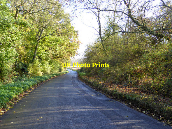 Photo 6"x4" Road towards Tollbrook Corner Bletchingdon c2016