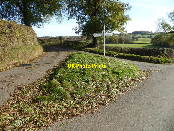 Photo 6"x4" Road junction near Stoke Lacy Crick's Green c2016